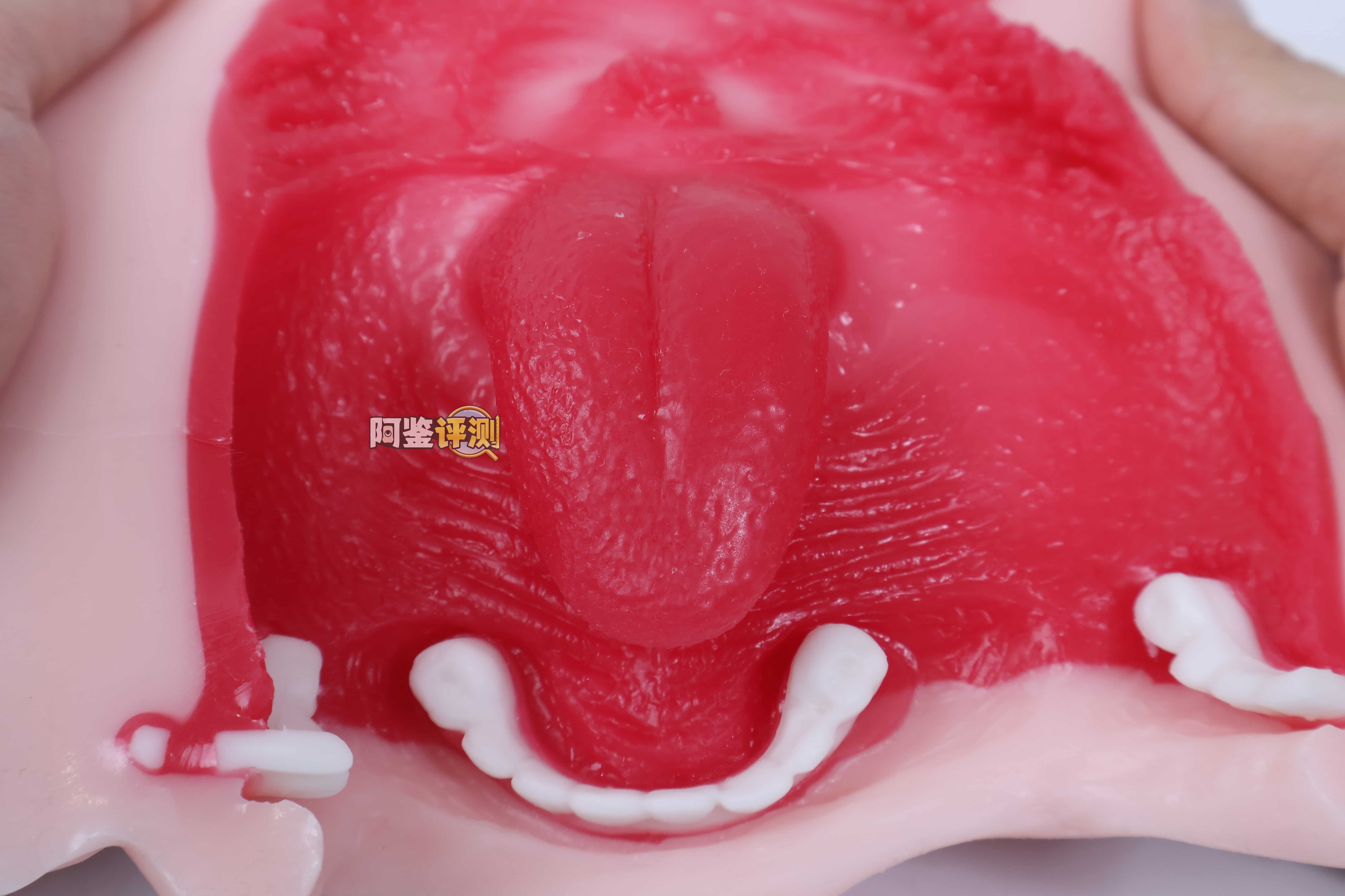 魔眼——“真实之口极上浪漫主义soft”评测！真实感大崩塌！软得已经完全没有口的形状了