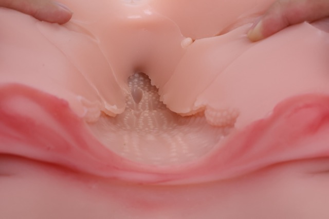 傲川——“爆汁肥尻娘MAX”评测！40kg逆天重量的究极大臀，实际使用起来到底是怎样的感觉？