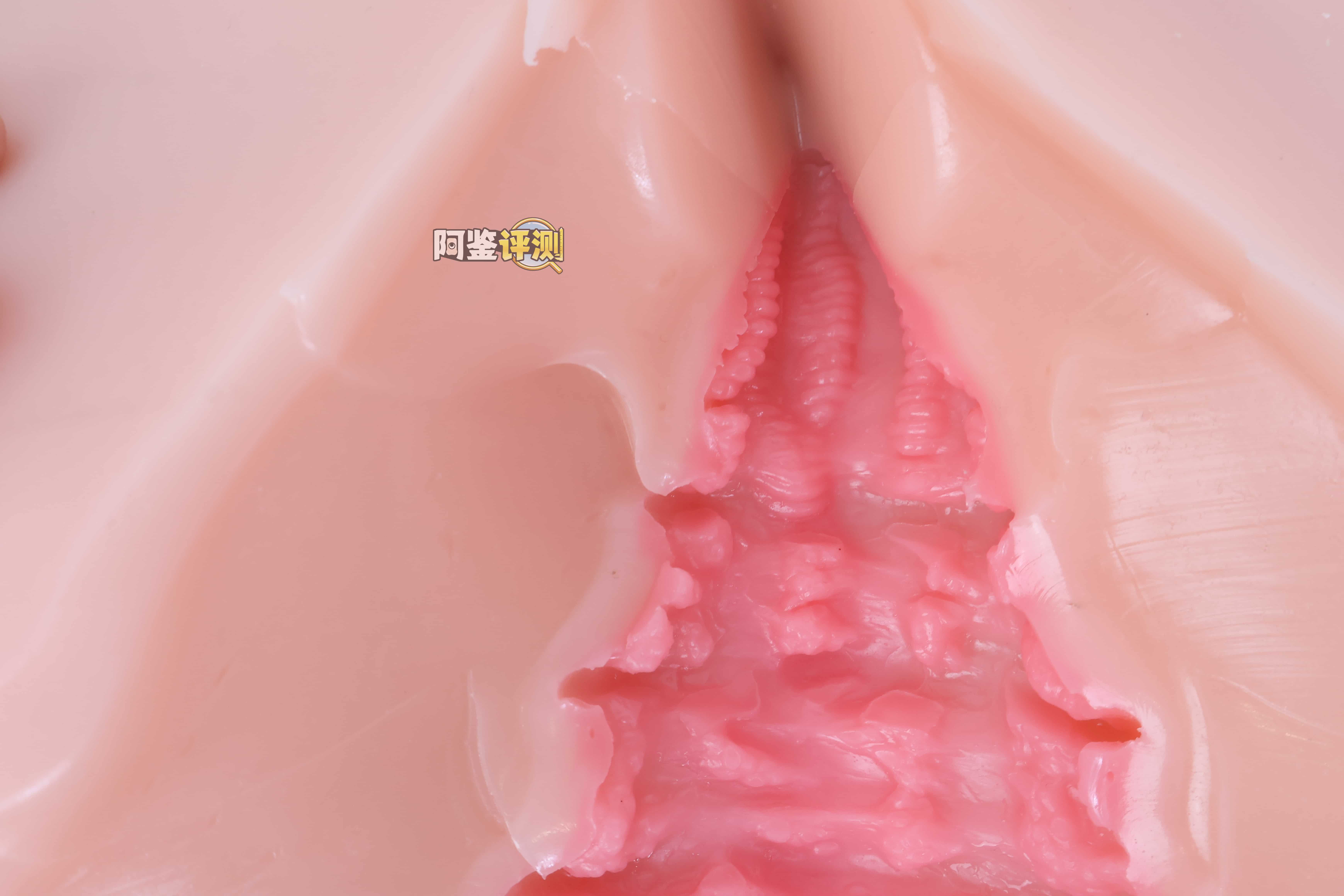 COC——”元气教练”评测！可可狼姬的肉色加大版，但脂软部分感觉做得稍微有些保守