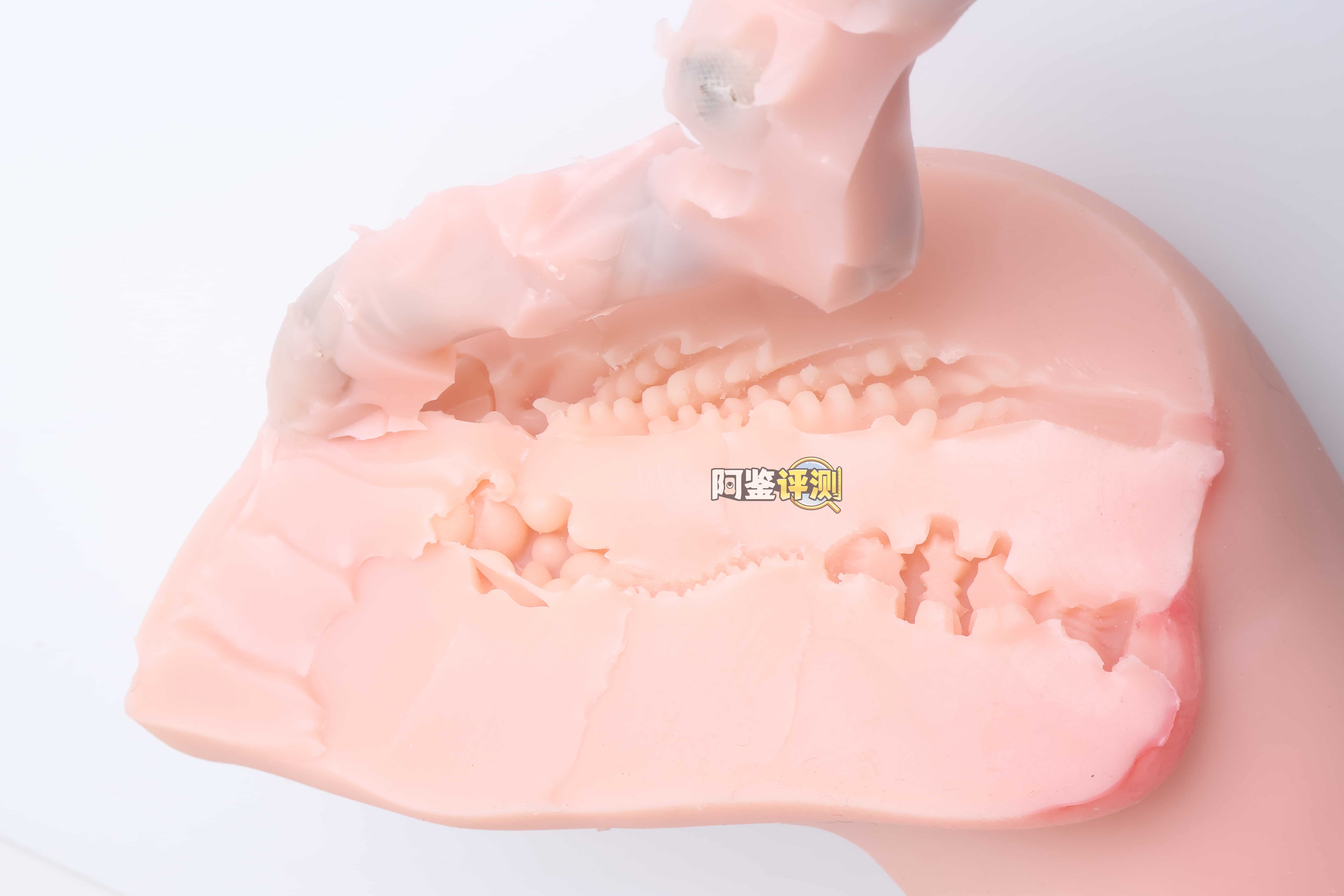 KAGUYANO——"奇奇"评测！外表细节更加粗糙的缩小版腿模，实际居然变得更好用了？