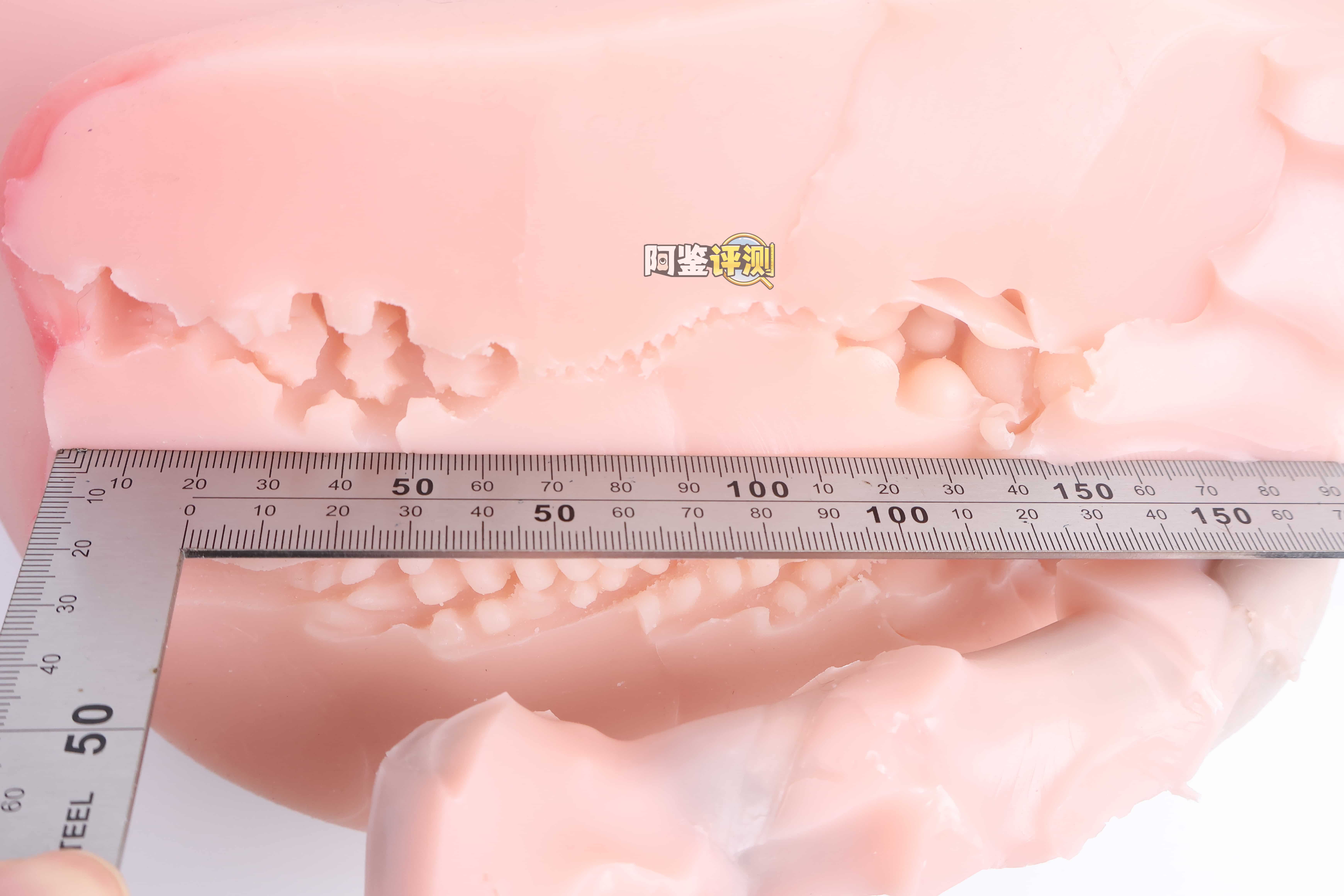 KAGUYANO——"奇奇"评测！外表细节更加粗糙的缩小版腿模，实际居然变得更好用了？