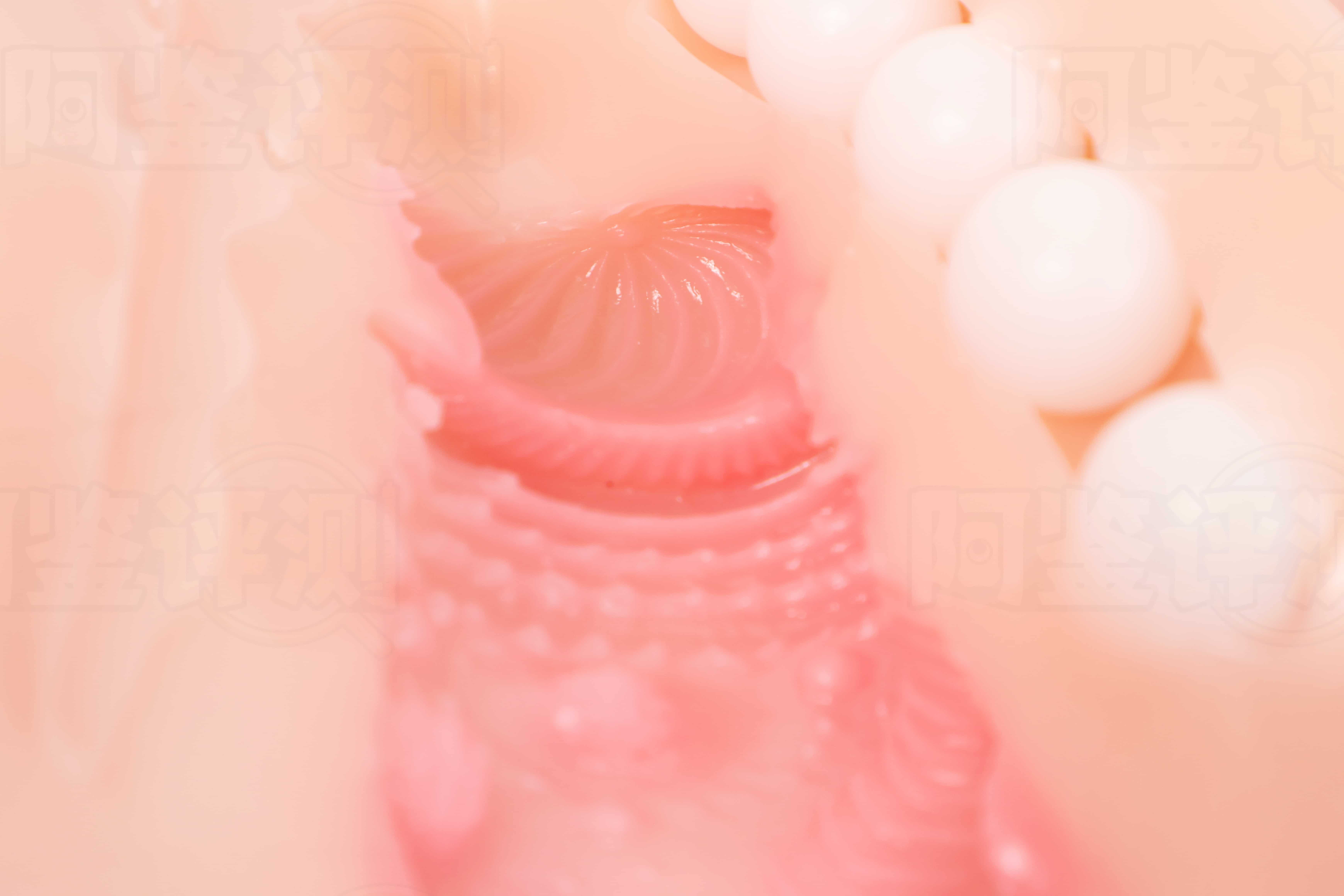 GXP——”克洛叶2”评测！所以说，二代产品跟一代的区别到底在哪里.....？