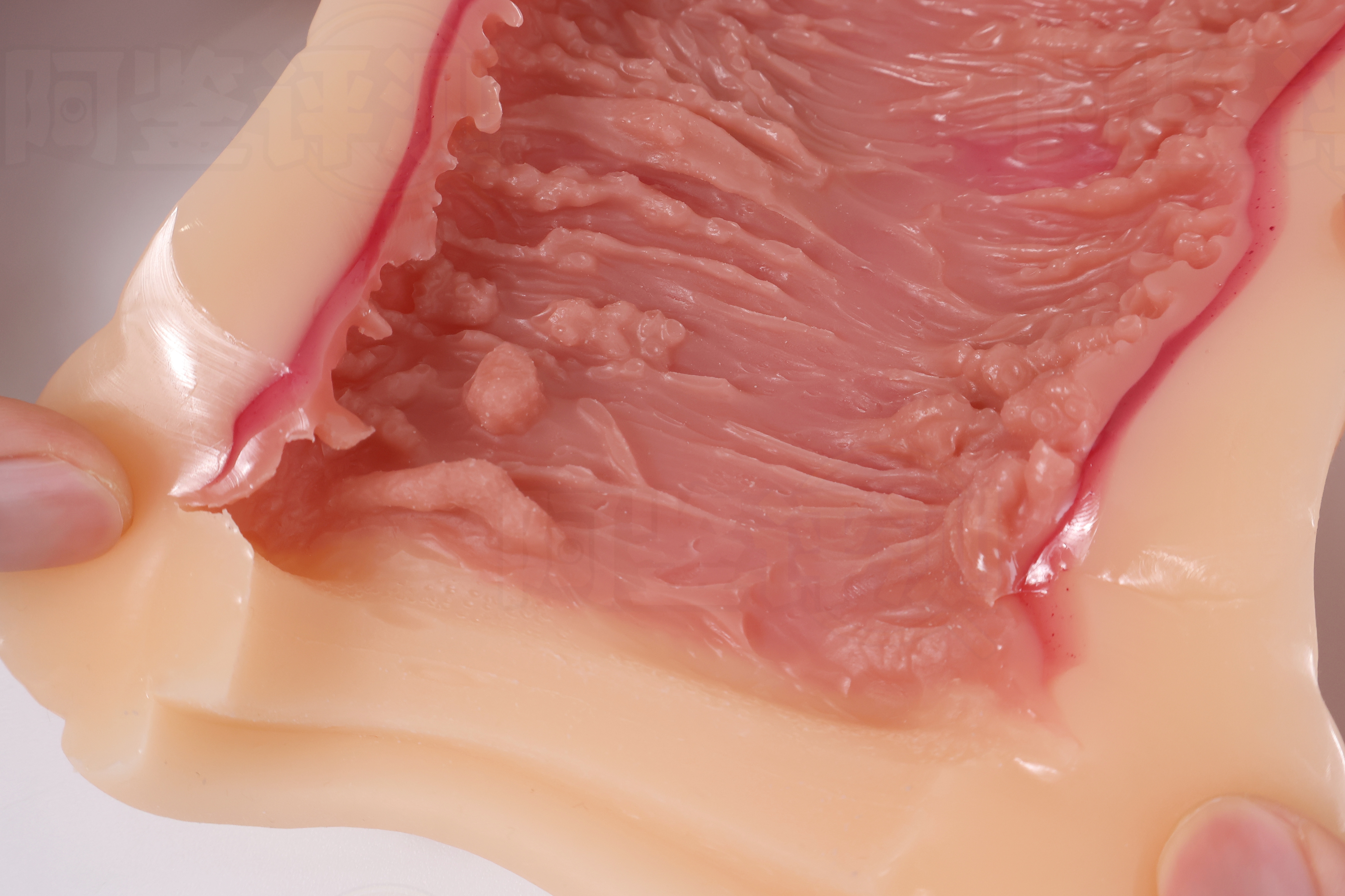 火炮——”梦无花果（0级/+2级）”评测！摸起来手感很有趣的黏膜概念杯，不过似乎并没有太多实际体验上的作用