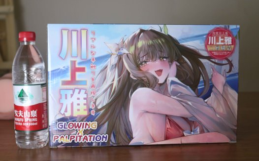 GXP-肉壁川上雅评测（大型倒模）！又一款床上使用的玩具，但是8.7kg！