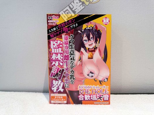 汤马托易士——“监禁调教”评测！朝凪老师最喜欢的玩法，原来是这样的感觉